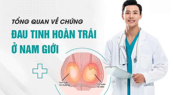 Tổng quan về chứng đau tinh hoàn trái ở nam giới