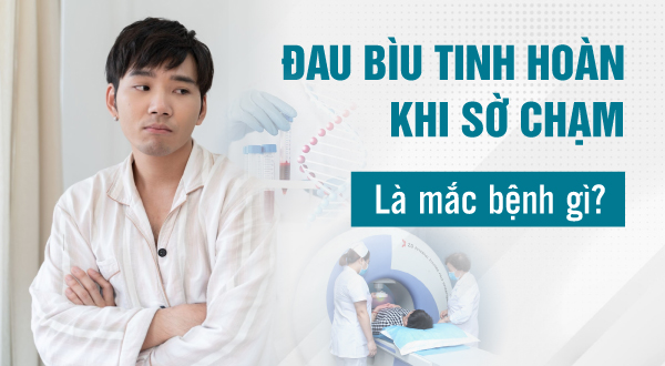 Đau bìu tinh hoàn khi sờ chạm - Nguyên nhân do đâu và xử lý thế nào?