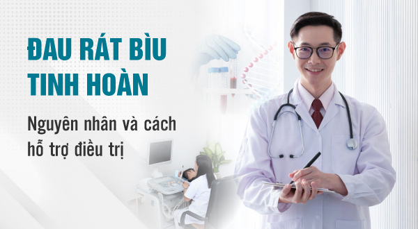 Nguyên nhân đau rát bìu tinh hoàn và cách hỗ trợ điều trị hiệu quả